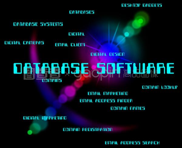 数据库软件是指数据库、单词和计算机